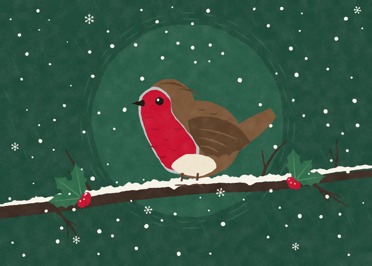 A robin on a snowy branch